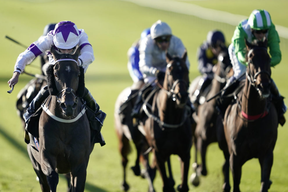 Race Horse Names: How are horses named, rules and weird names