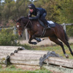 horse racing schooling