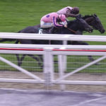 dead-heat horse racing