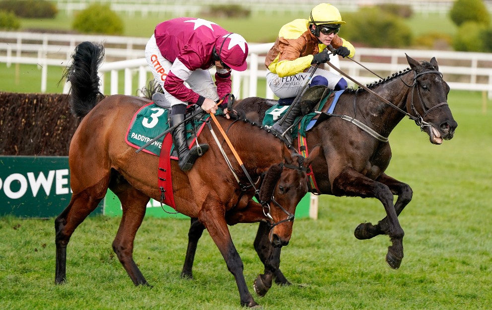 trixie bet guide