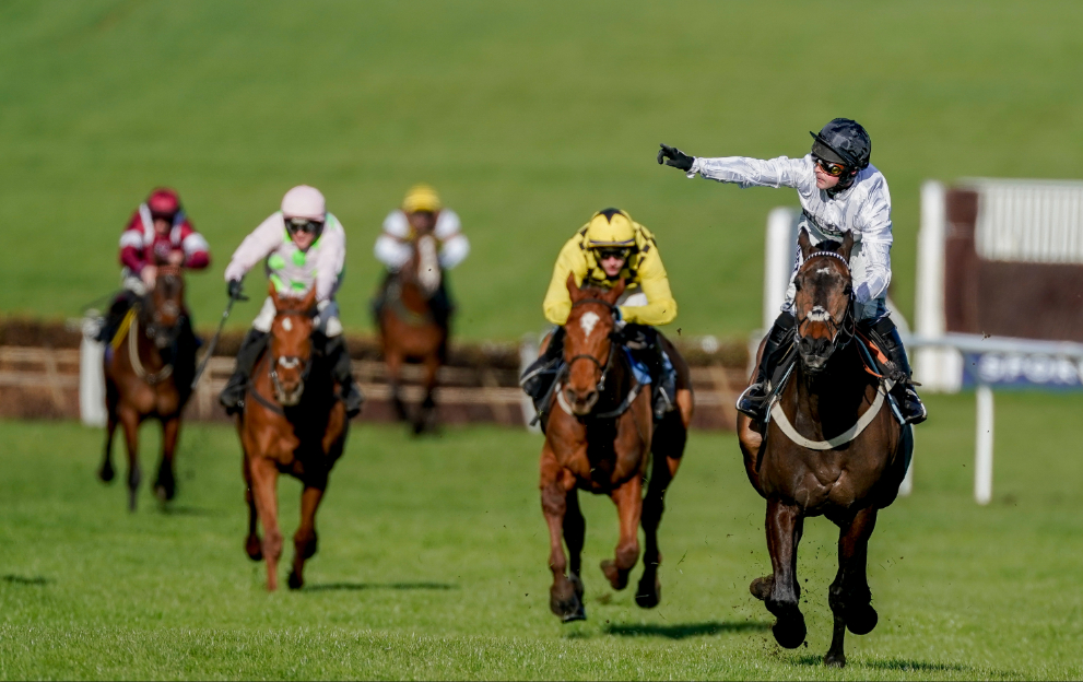 Constitution Hill wins the Champion Hurdle