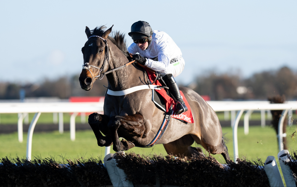 Constitution Hill next race: Cheltenham Festival on the agenda for Nicky Henderson’s superstar