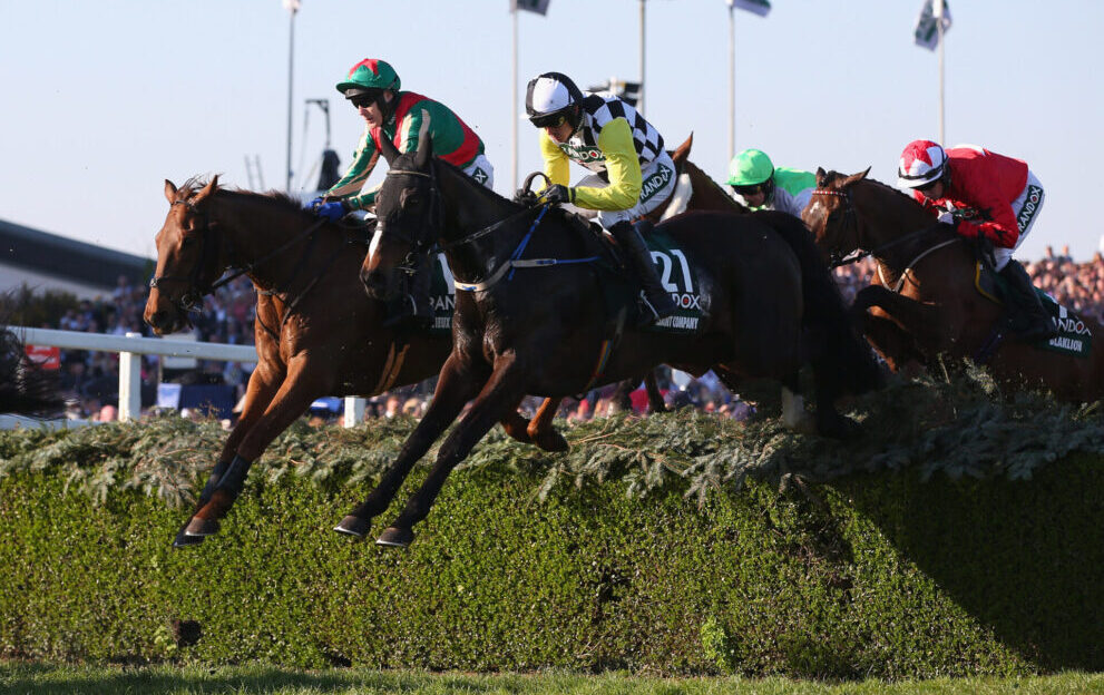 Grand National average age of winner