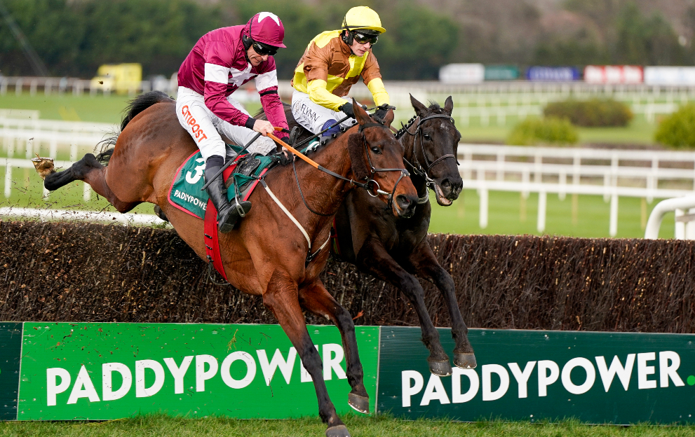 how to bet on horse racing