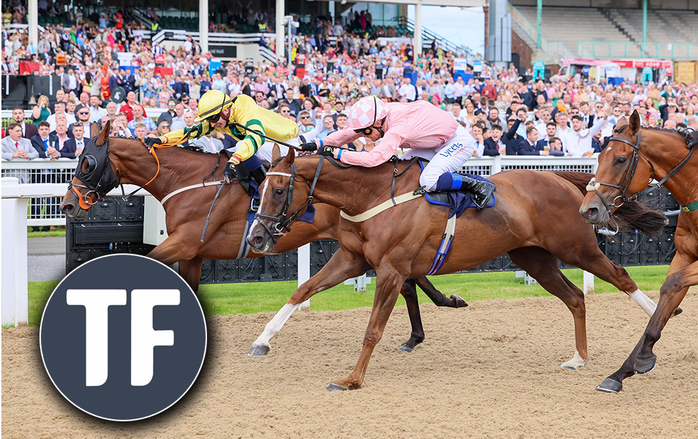 Horse Racing Tips: Timeform’s Thursday punts at Newcastle include a 7/2 play