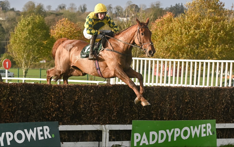 Captain Kangaroo wins the Cork Grand National