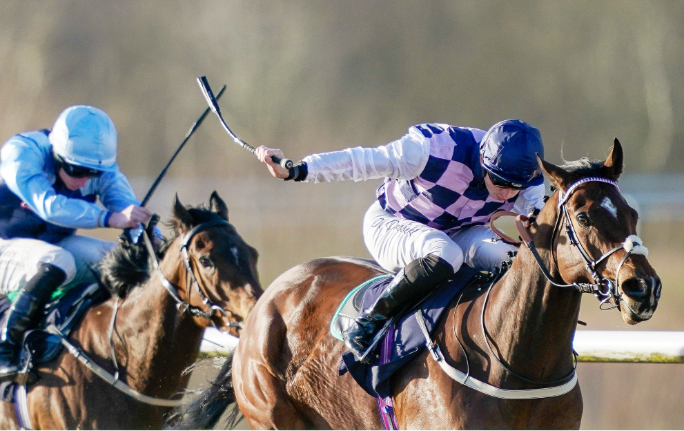 set profit dutch betting