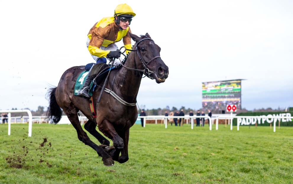 Galopin Des Champs winning the Paddy Power Irish Gold Cup