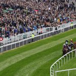 grand national betting guide