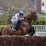 Captain Guinness jumping a fence en route to winning the Champion Chase