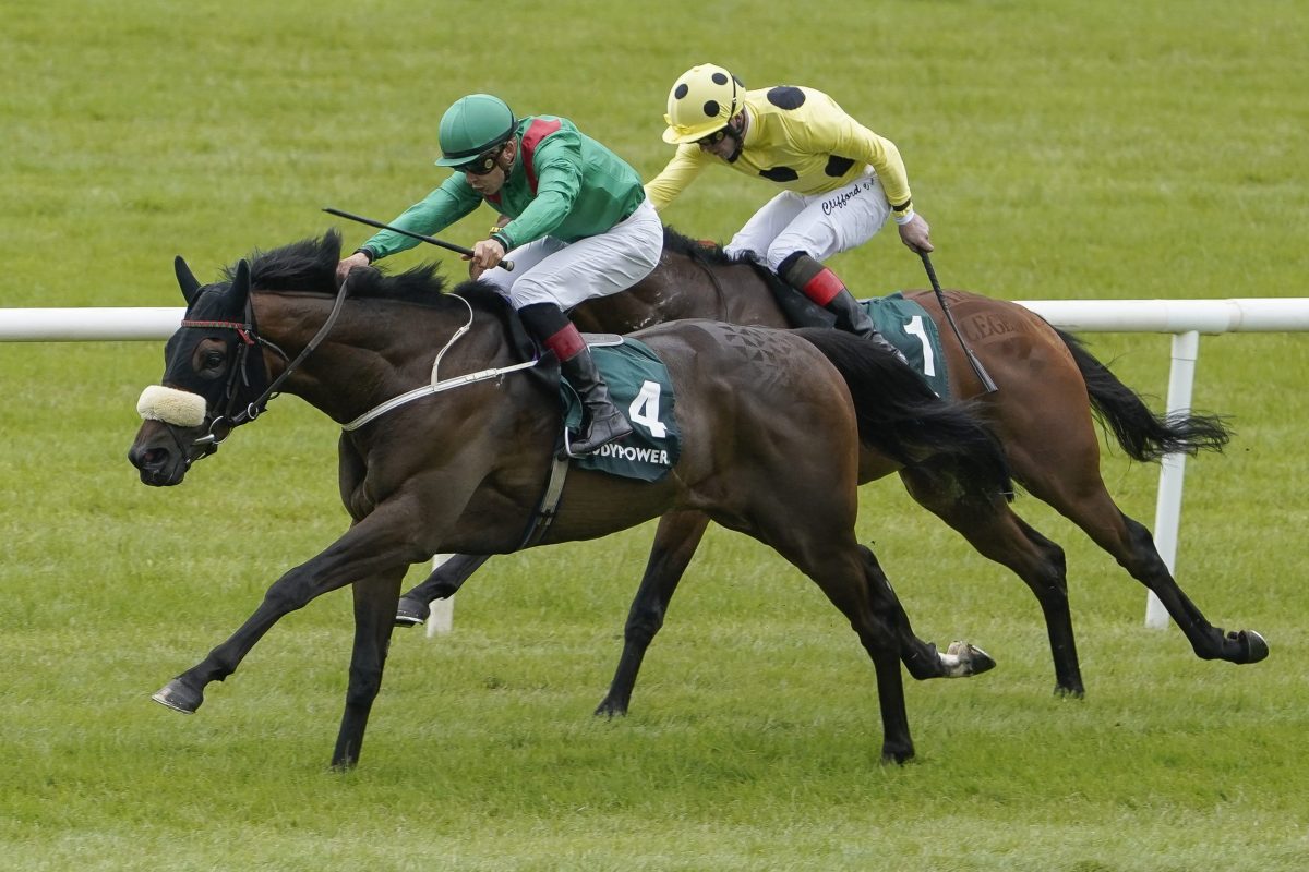 What are placepot dividends and how do they work?