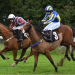 round robin betting guide