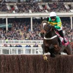 Jonbon jumping a fence at Cheltenham