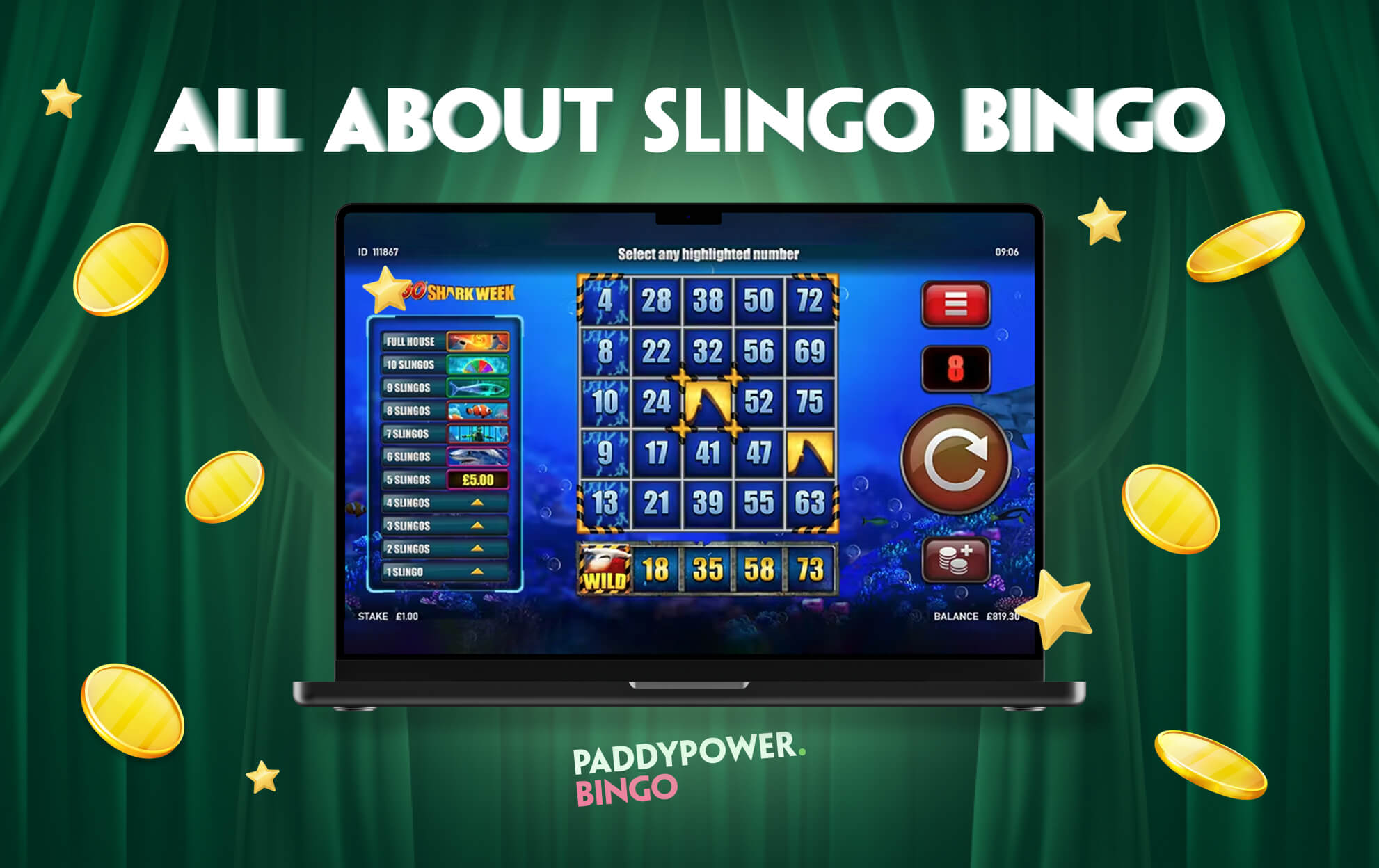 All About Slingo Bingo