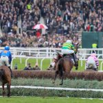 Fact To File jumping a fence in the 2024 Brown Advisory at the Cheltenham Festival