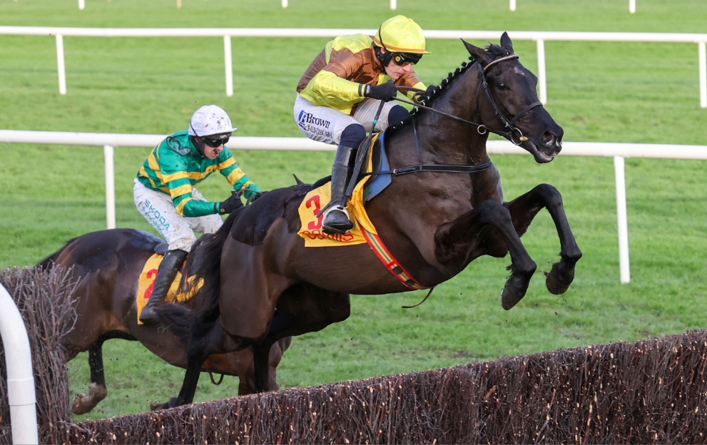 Galopin Des Champs and Fact To File