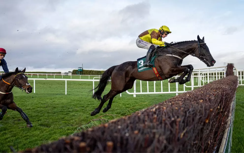 Galopin Des Champs jumping a fence in the Irish Gold Cup at Leopardstown