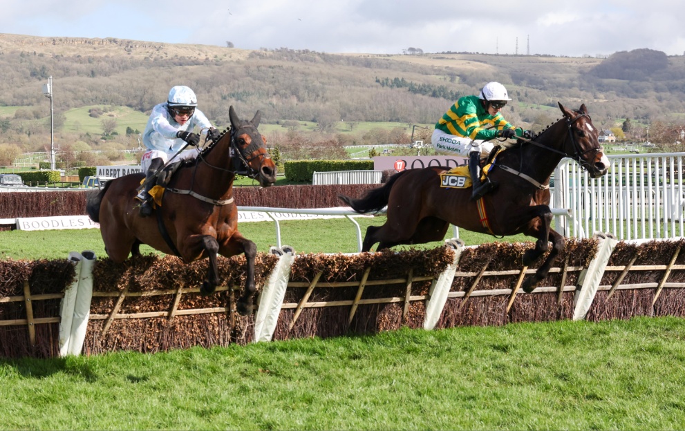 When is the Triumph Hurdle 2025? Cheltenham date, start time, runners and betting