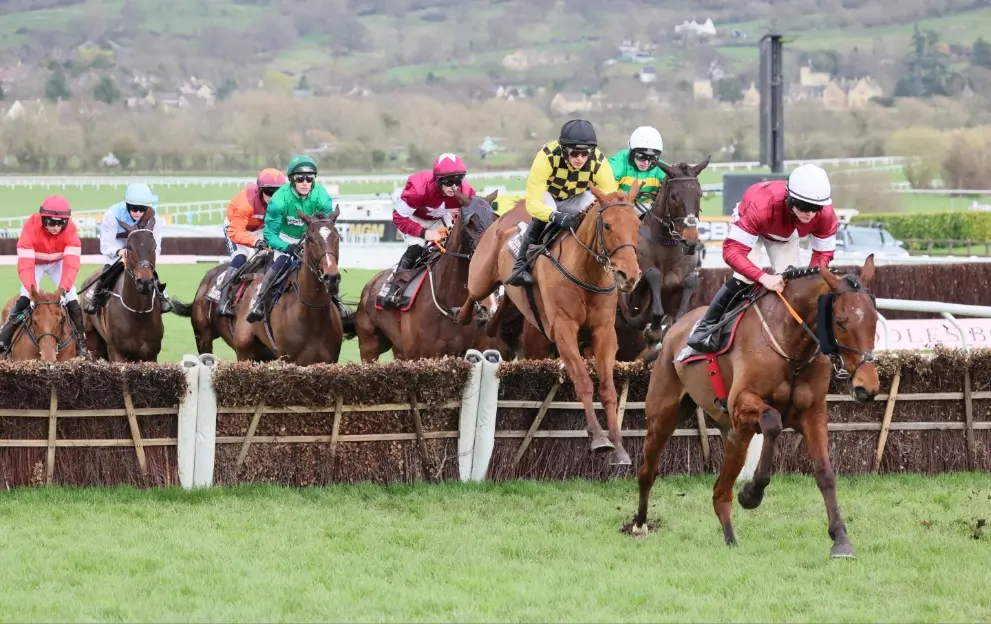 When is the Albert Bartlett Novices’ Hurdle 2025? Cheltenham date, start time, runners and betting