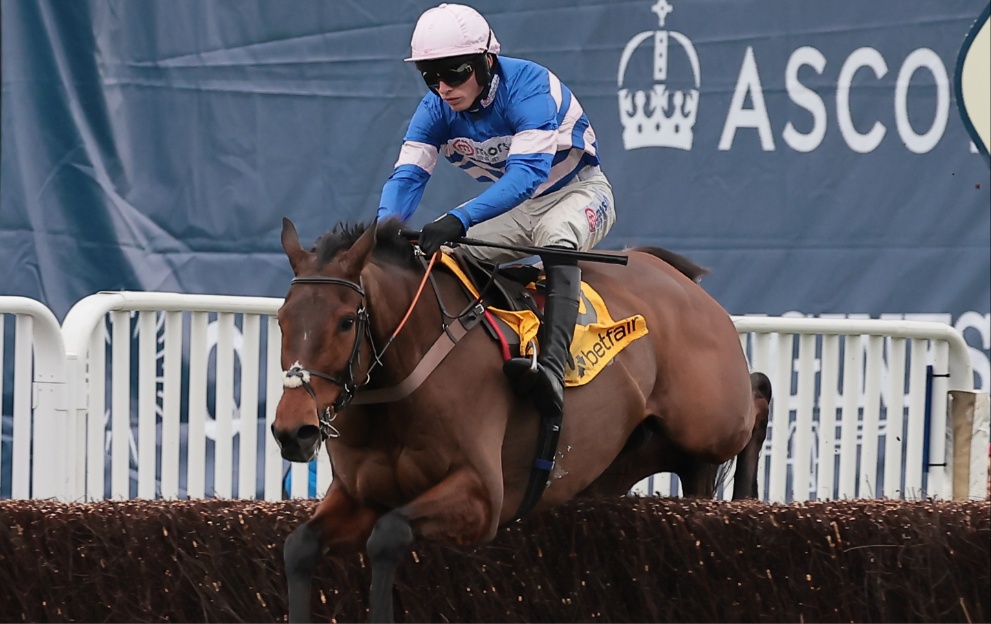 Ascot Chase tips and runner-by-runner guide to Ascot 3.37 on Saturday