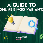 Guide to online bingo variants